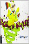 NUVA INFANTIL 3 ANYS CARPETA 3R TRIMESTRE DIMENSI NUVRIA