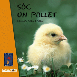 S�C UN POLLET