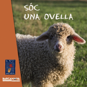 S�C UNA OVELLA