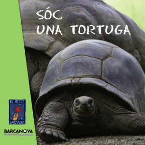 S�C UNA TORTUGA