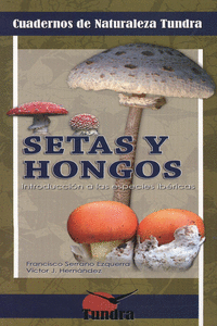 SETAS Y HONGOS