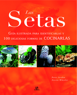 LAS SETAS
