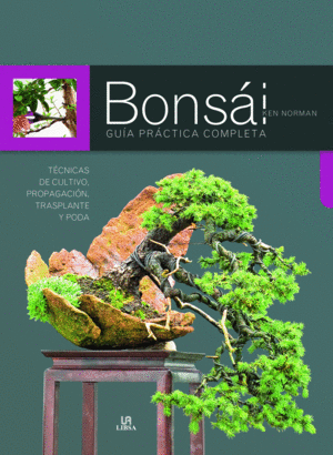 BONSI GUA PRCTICA COMPLETA