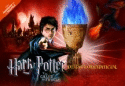 HARRY POTTER Y EL CALIZ DE FUEGO. DIARIO CONFIDENCIAL