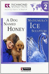 RWF 2 A DOG NAMED HONEY & MATSUMURA'S ICE+CD