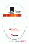 BIG PICTURE 1 WORKBOOK ELEMENTARY [A2]