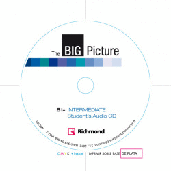 THE BIG PICTURE B1+ INTERMEDIATE (WORKBOOK)