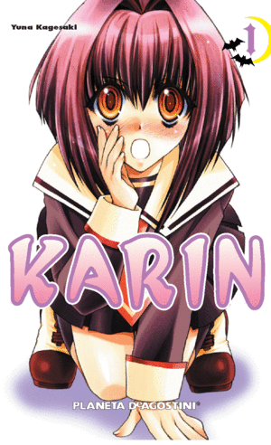 KARIN N 01