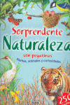 SORPRENDENTE NATURALEZA CON PEGATINAS