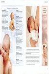 ATLES IL-LUSTRAT D'EMBAR�S PART I PRIMERS ANYS