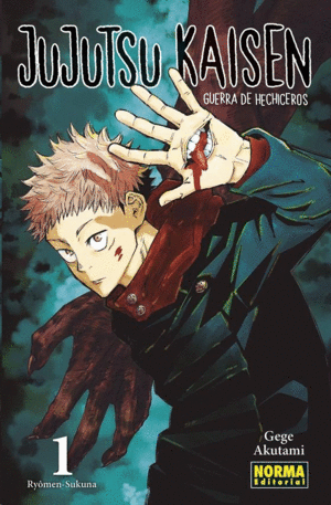 JUJUTSU KAISEN 01