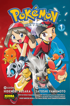 POKEMON 9 ORO RUBI Y ZAFIRO 1