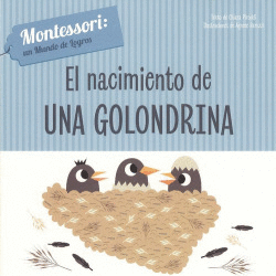 EL NACIMIENTO DE UNA GOLONDRINA