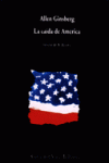 LA CA�DA DE AM�RICA