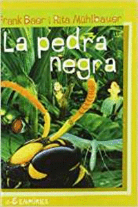 LA PEDRA NEGRA