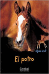 EL POTRO