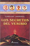 LOS SECRETOS DEL VESUBIO