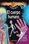 EL CUERPO HUMANO