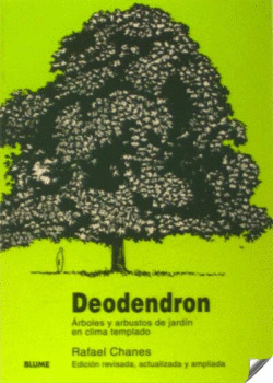 DEODENDRON