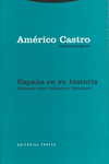 ESPA�A EN SU HISTORIA. ENSAYOS SOBRE HISTORIA Y LITERATURA