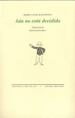 �A�N NO EST� DECIDIDO. CONSIDERACIONES