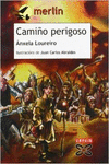 CAMI�O PERIGOSO