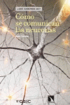 C�MO SE COMUNICAN LAS NEURONAS