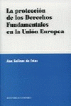LA PROTECCI�N DE LOS DERECHOS FUNDAMENTALES EN LA UNI�N EUROPEA.