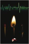 LA VIDA DE LAS CERILLAS