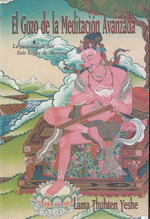 EL GOZO DE LA MEDITACI�N AVANZADA, LA PR�CTICA DE LOS SEIS YOGAS DE NAROPA