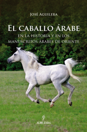 EL CABALLO RABE