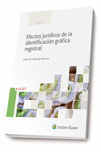 EFECTOS JUR�DICOS DE LA IDENTIFICACI�N GR�FICA REGISTRAL