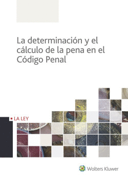 PROCESO PENAL PRACTICO  7ED.