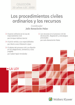 LOS PROCEDIMIENTOS CIVILES ORDINARIOS Y LOS RECURSOS