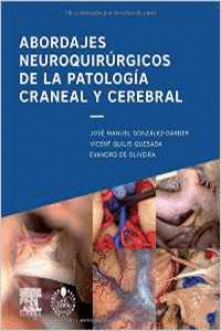 ABORDAJES NEUROQUIRRGICOS DE LA PATOLOGA CRANEAL Y CEREBRAL