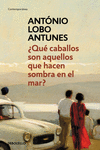 �QU� CABALLOS SON AQUELLOS QUE HACEN SOMBRA EN EL MAR?