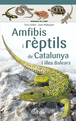 AMFIBIS I R�PTILS DE CATALUNYA I ILLES BALEARS