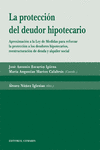 LA PROTECCI�N DEL DEUDOR HIPOTECARIO.