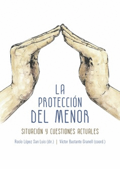 LA PROTECCI�N DEL MENOR. SITUACI�N Y CUESTIONES ACTUALES