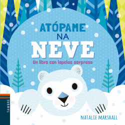 AT�PAME NA NEVE