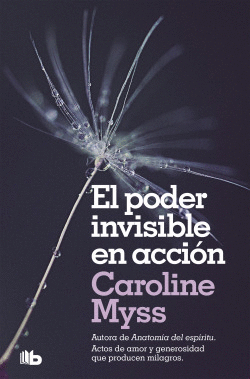 EL PODER INVISIBLE EN ACCI�N
