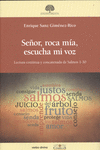 SE�OR, ROCA M�A, ESCUCHA MI VOZ