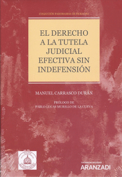 EL DERECHO A LA TUTELA JUDICIAL EFECTIVA SIN INDEFENSI�N
