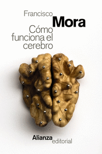 CMO FUNCIONA EL CEREBRO