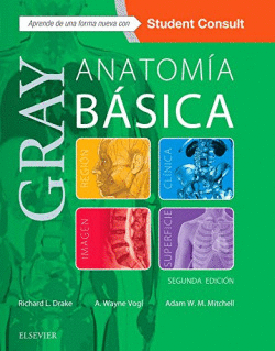 ANATOMA BSICA