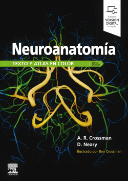 NEUROANATOM�A