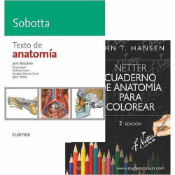 LOTE HANSEN-WASCHKE: NETTER. CUADERNO DE ANATOM�A PARA COLOREAR + SOBOTTA.TEXTO