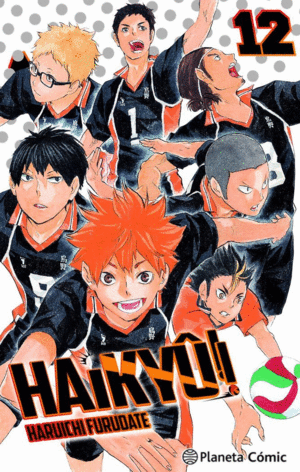 HAIKYU 12