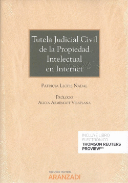 TUTELA JUDICIAL CIVIL DE PROPIEDAD INTELECTUAL EN INTERNET