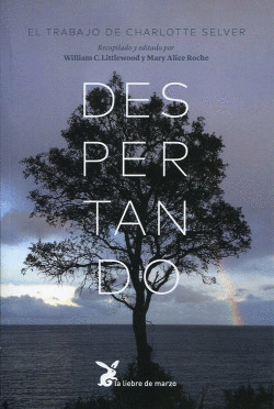 DESPERTANDO: EL TRABAJO DE CHARLOTTE SELVER